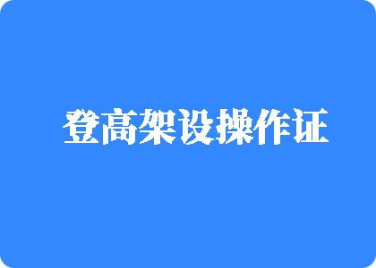 搞淫逼视频登高架设操作证